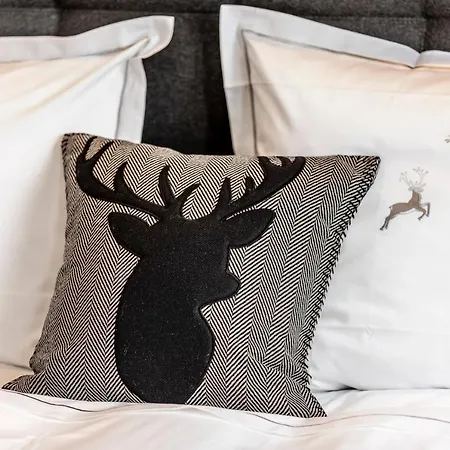 Unique Alpic Style In The Heart Of 다보스