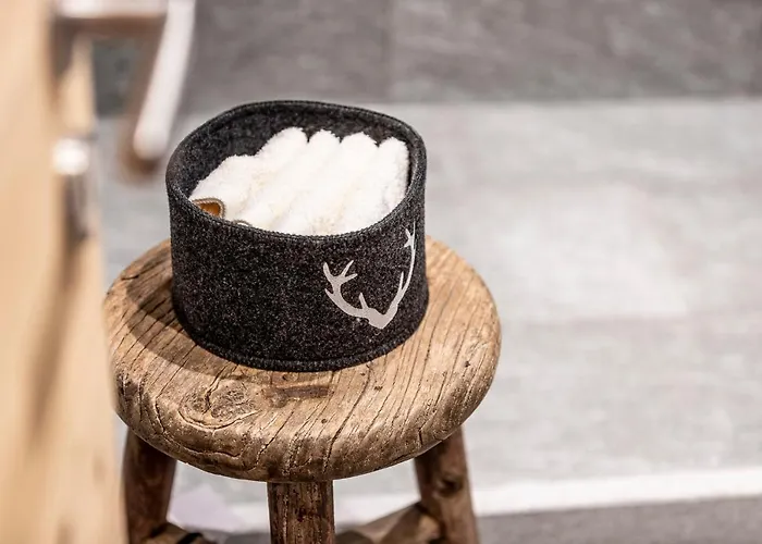 Appartement Unique Alpic Style In The Heart Of Davos